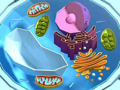 Cell 3d cell lowpoly