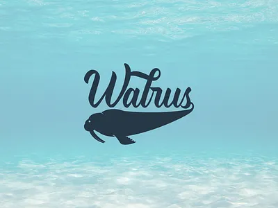 Walrus Logo lifestyle logo logo design sport walrus