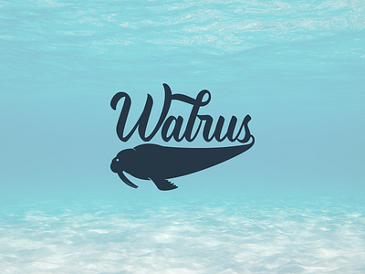 Walrus Logo lifestyle logo logo design sport walrus