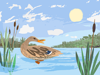 WIP: Mallard-Direction 1 brushes clouds duck mallard painting texture vector