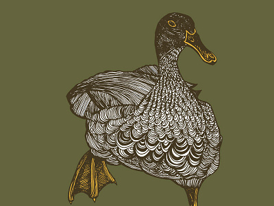 Busy Duck duck illustration mixed media patterns pen and ink waterfowl