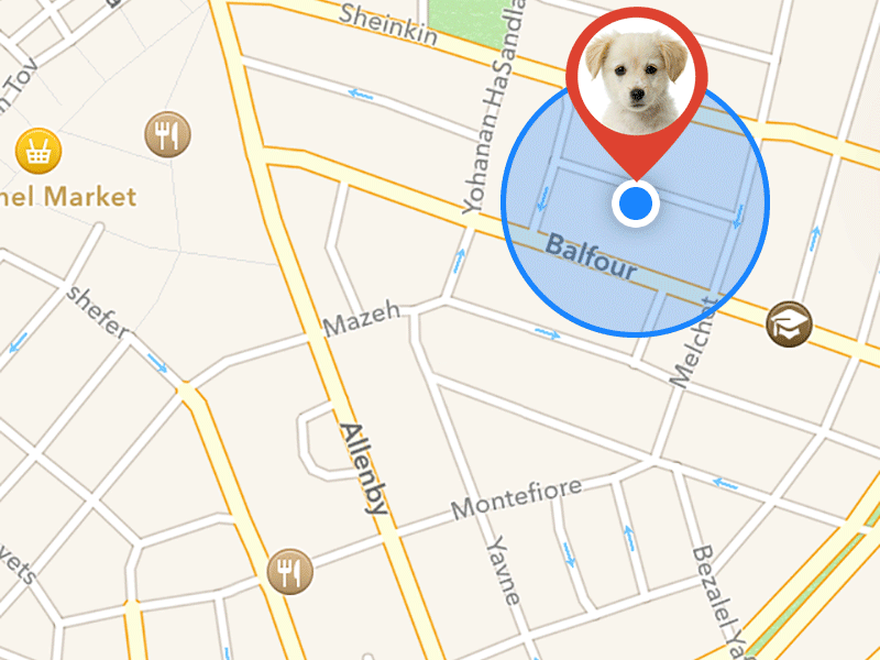 Track your Pet- Animation Test transition ux