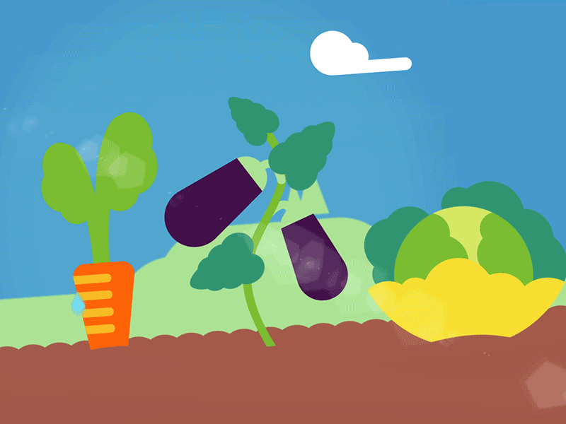 Vegetable Garden after effects animation gif loop motion design vegetable garden
