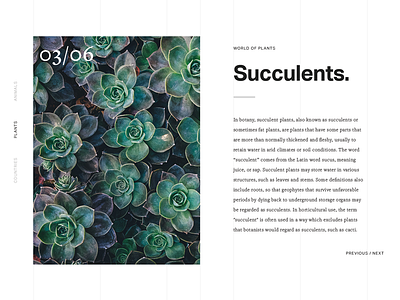 Succulents card clean layout minimal typography