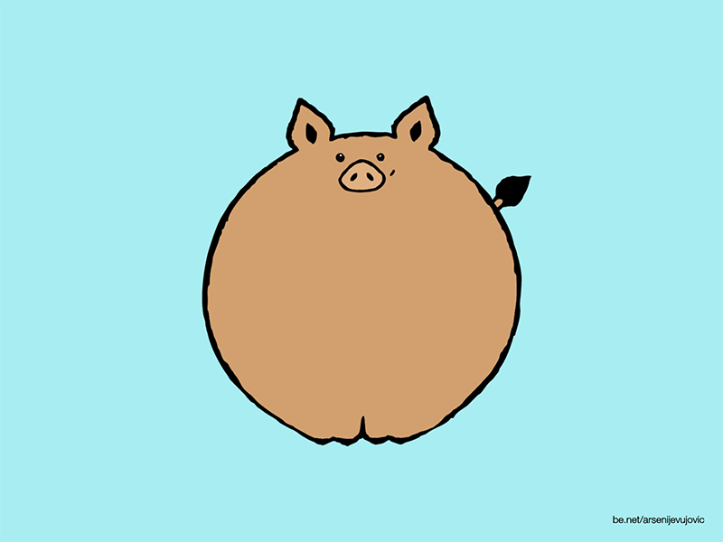 Animals - 20 - Wild Boar animal animals animation boar characterdesign graphic illustration motion motiongraphics pig wild zoo