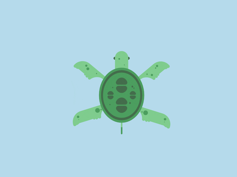 Sea Turtle 2d animation flat sea swim turtle vector