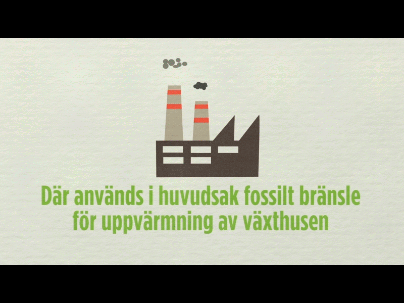 Green Energy Tomatoes ad after effects animation green energy tomato tomatoes