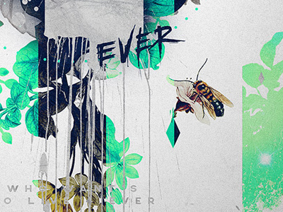 ever bee bee colour diamond flower leak paint poster typo