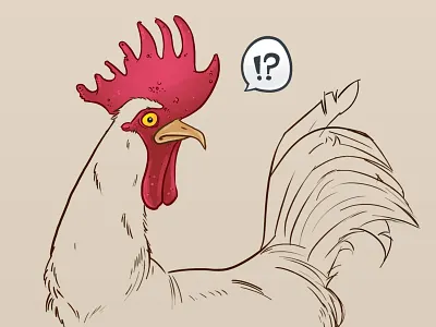 Rooster cock illustration rooster