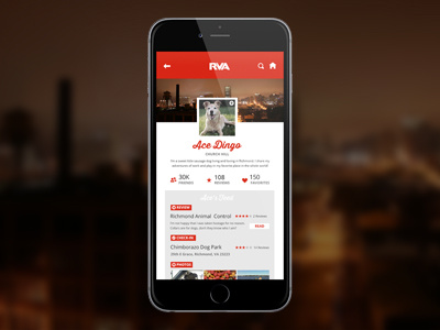 Daily UI Challenge -- User Profile app mobile ui user profile ux