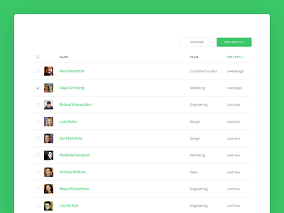 Segment team profiles, team member table sort table team ui ux