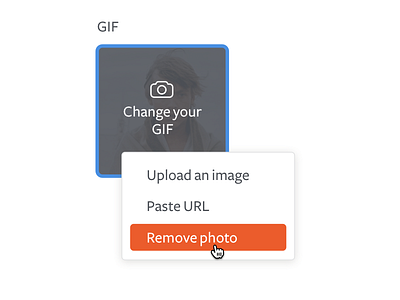 Segment team profiles, photo module dropdown gif paste photo picker profile team ui url ux