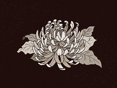 Chrysanthemum chrysanthemum creepy dark drawing flower flower power grunge illustration sad texture weird