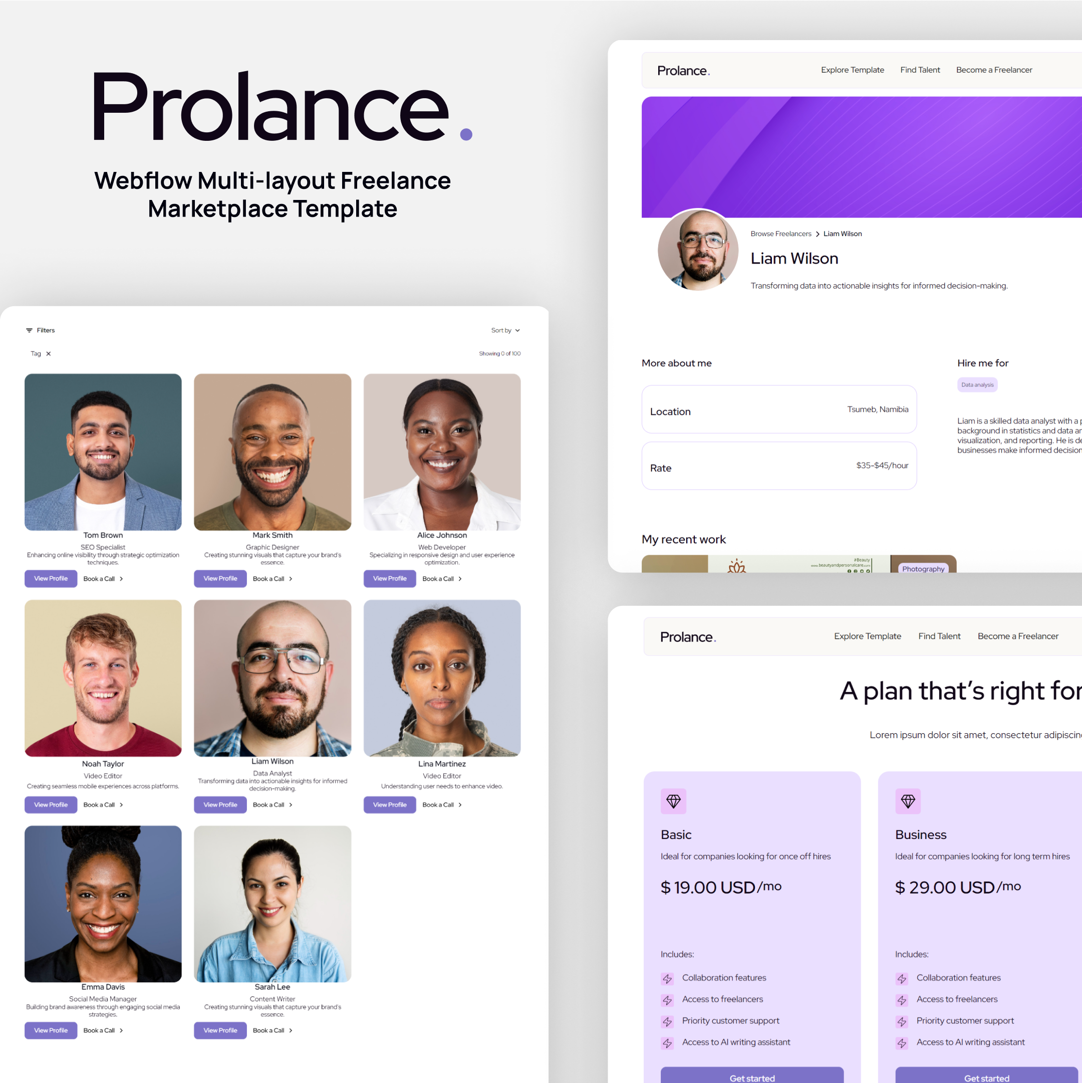Prolance | Freelance Multi-page Marketplace Webflow Template design development figma freelance marketplace ui ux webflow webflow design webflow template