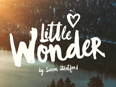 Little Wonder Font brush drawn font hand lettering logo painted script type typeface typography