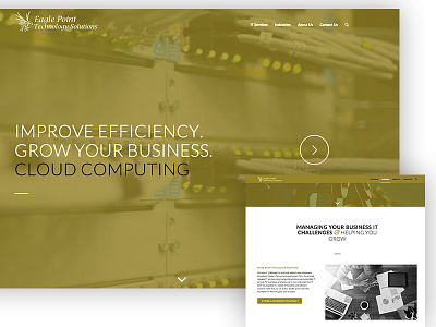 Eagle Point Technology Solutions it company server ui ux video web website wordpress