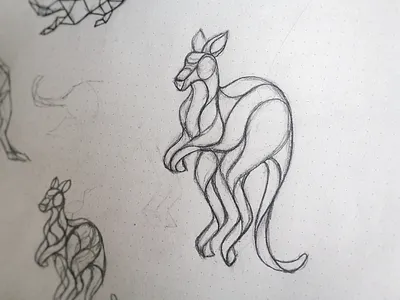 Kangoo Sketch animal australia geometric illustration kangaroo line lineart outline poly polygonal sketch