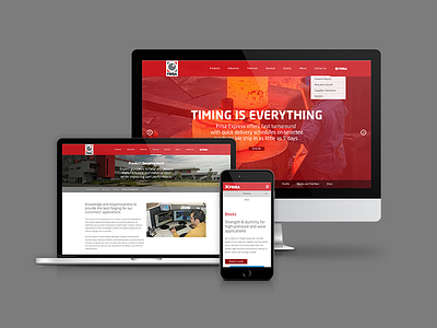 Frisa Website design responsive site web website