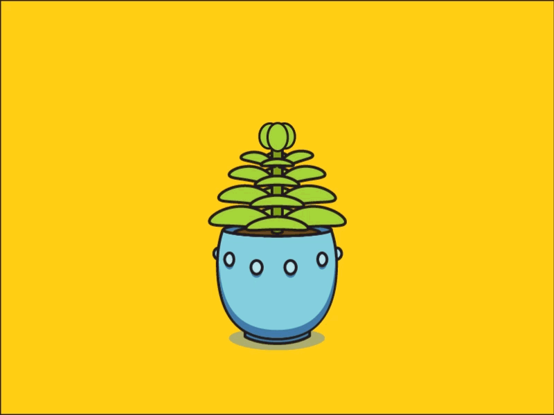 A growing Dribbble dribbble dribbleorlando firstshot gif illustration plant