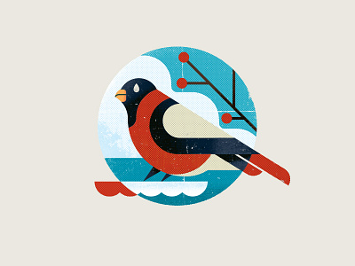 Bullfinch bird bullfinch illustration texture