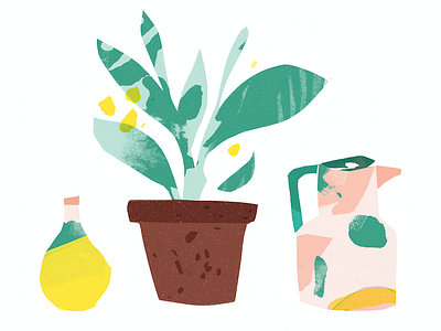 Plant Life ballasiotes cut paper patterns plants seattle