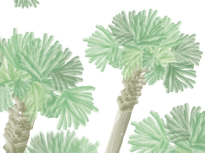 Palm Trees illustration invitation paintbrush palm tree southern stationary tree