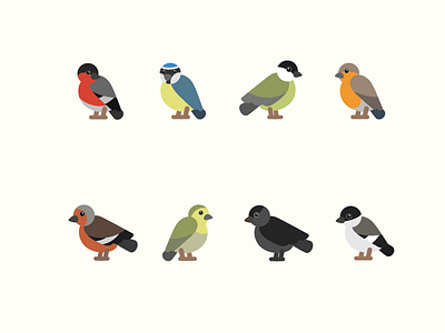 More birds bird birds tiny