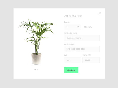 #002 002 credit card checkout dailyui