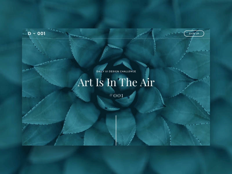 Daily UI challenge #001 — Sign Up animation dailyui sign up ui