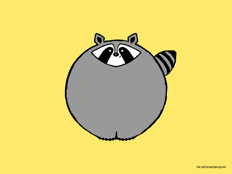 Animals - 28 - Raccoon animal animals animation characterdesign graphic illustration motion motiongraphics raccoon racoon wild zoo