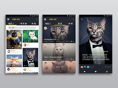 Pets application cat