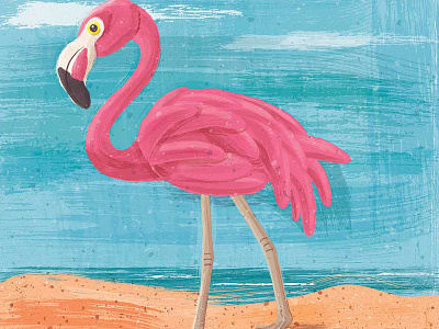Ringo Flamingo adobe illustrator beach brush drag strip flamingo illustration illustrator retro supply co summer vector vector painting