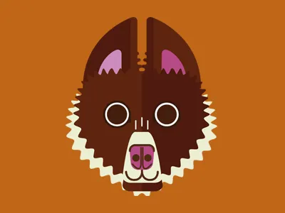 Chocolate Border Collie