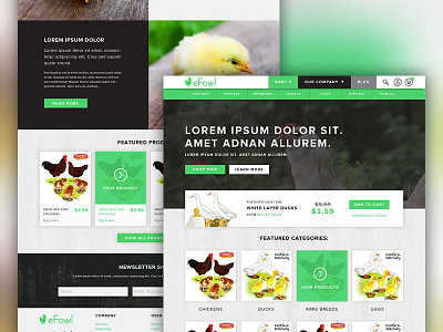 eFowl Site Design brand branding buy chicken ecommerce efowl fowl hatch purchase sale website