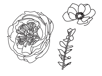 Flowers design floral flower flowers illustrator nature pen tool