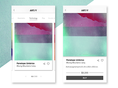 E-Commerce Shop [Single Item]—Daily UI #012 012 art dailyui e commerce