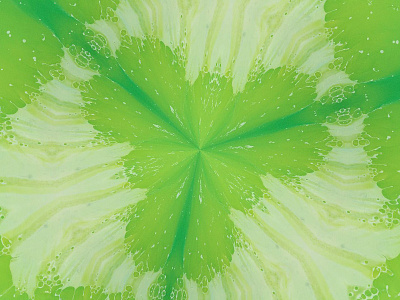 Stelll 00 dragon kaleidoscope liquids macro microscope paint red stella