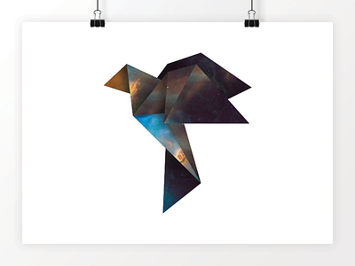 Origami Bird bird color design galaxy graphic illustration logo origami space vector
