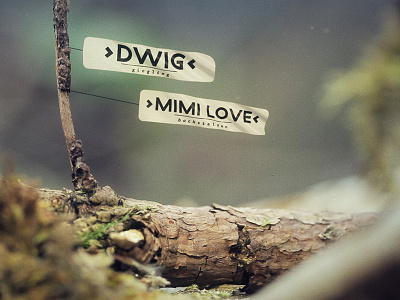 Bonanza teaser after effects analogue animation design flag forest macro motion design motion graphics sound design wood