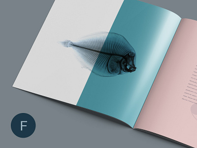 Square Brochure Mockup booklet brochure brochure mockup catalog catalog mockup clean magazine mock up mock up mockup photorealistic photoshop mockup