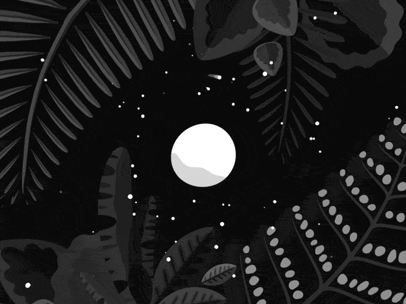 Titania (Moon) 2d black black and white bnw cosmos dream moon night plants sky space stars