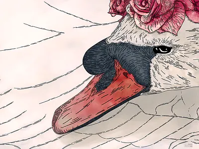 Snow White flowers illustration lineart retro swan