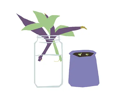 Plants cutting life photoshop plants still succulent