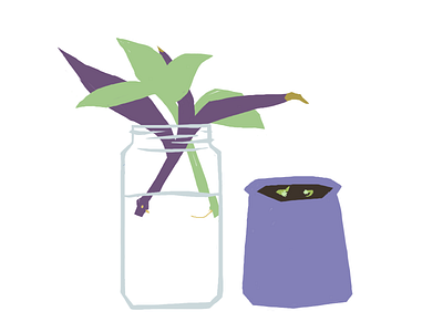 Plants cutting life photoshop plants still succulent