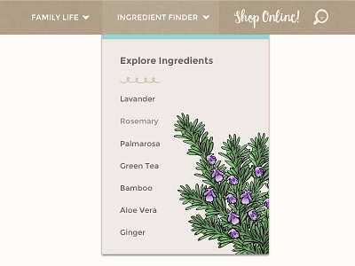 Green Beaver Blog Mega Menu handdrawn ingredients mega menu menu organic rosemary search bar sub menu ui ux