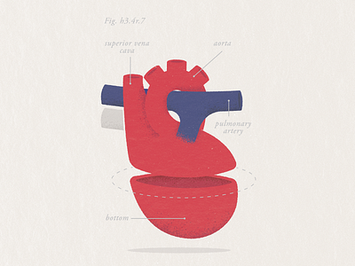 Thank You card diagram heart postcard science textbook thank you thanks