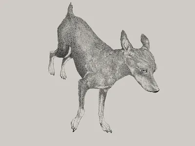 Little Doggio Sketch cute dog drawing illustration little pencil sketch tiny