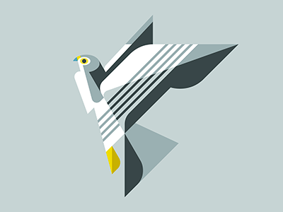 Peregrine Falcon WIP art bird brill design falcon illustration josh peregrine