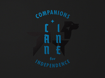 CCI Black Alt assistance dog canine cci companion dog guide dog independence labrador service dog