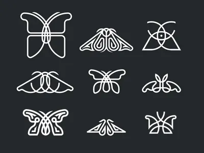 Butterfly collection butterfly
